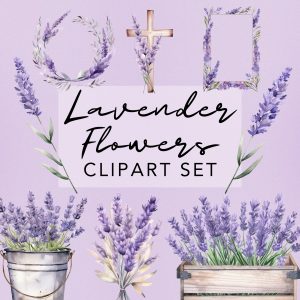 Lavender Flowers Watercolor Cliparts